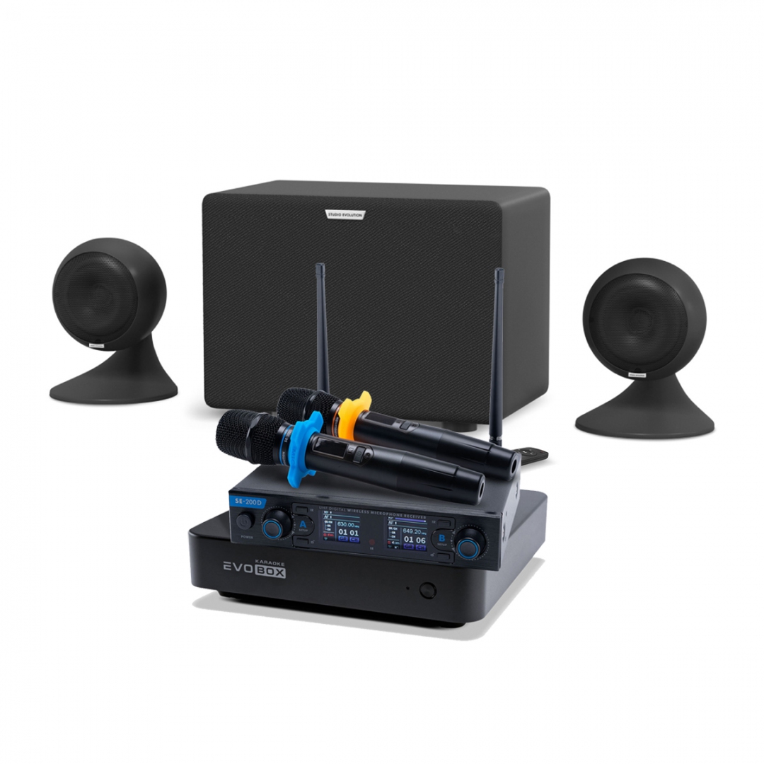 караоке-комплект EVOBOX + EvoSound Sphere 2.1 в Могоче
