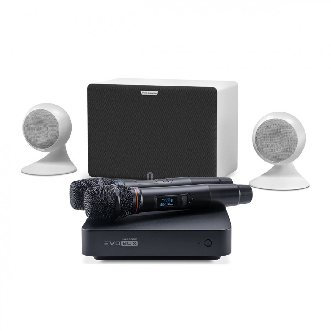 караоке-комплект EVOBOX Classic + EvoSound Sphere 2.1 в Могоче