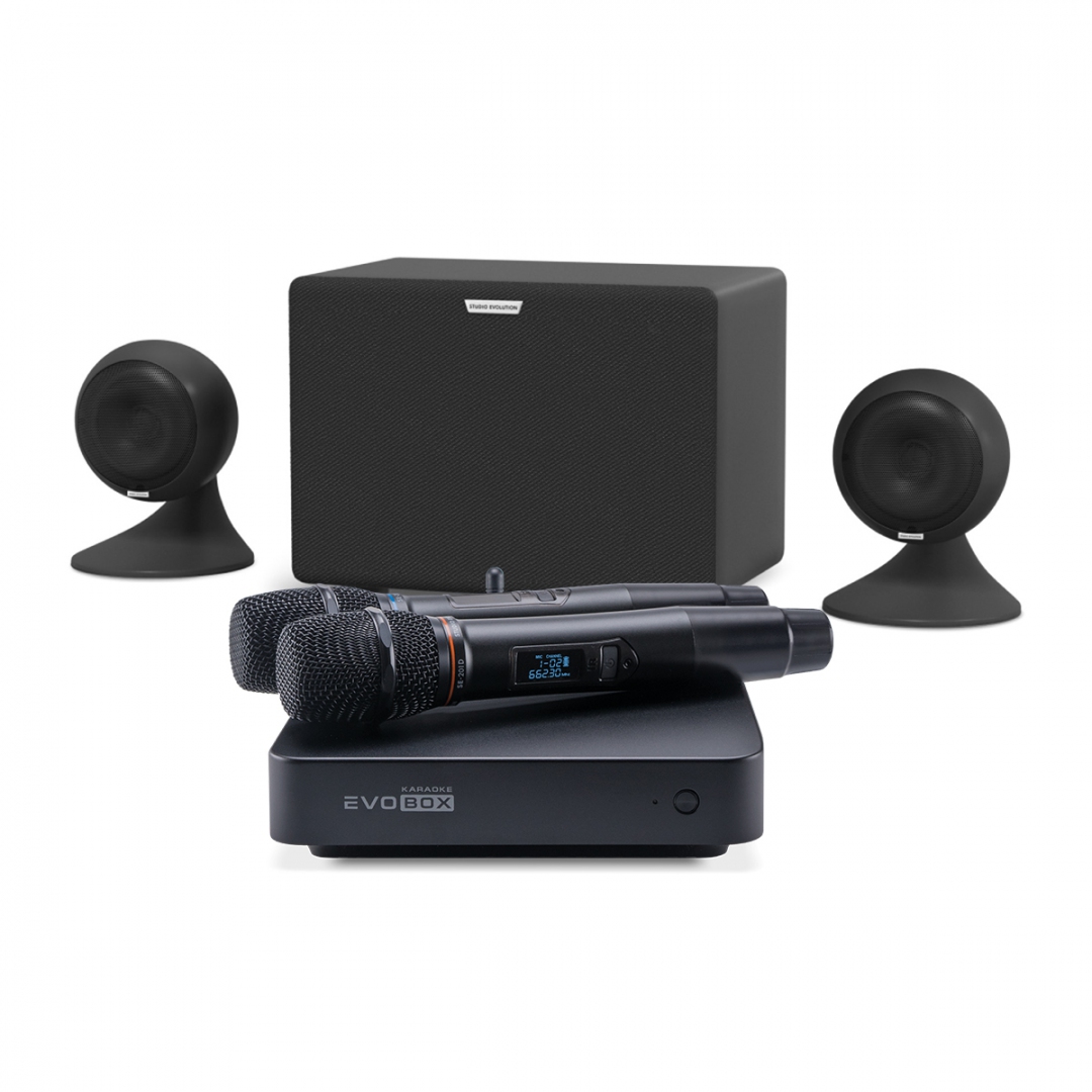 караоке-комплект EVOBOX Plus + EvoSound Sphere 2.1 в Могоче