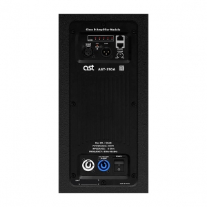 Активная акустическая система AST-310A в Могоче