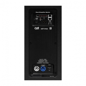 Активная акустическая система AST-312A в Могоче