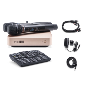 EVOBOX Classic караоке-система для дома в Могоче