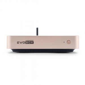 EVOBOX Plus караоке-система для дома в Могоче